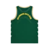 Astro mesh basketball vest