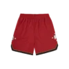 Astro star mesh basketball shorts
