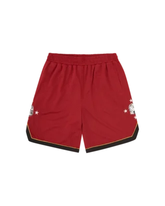 Astro star mesh basketball shorts