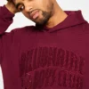 Chenille logo hoodie