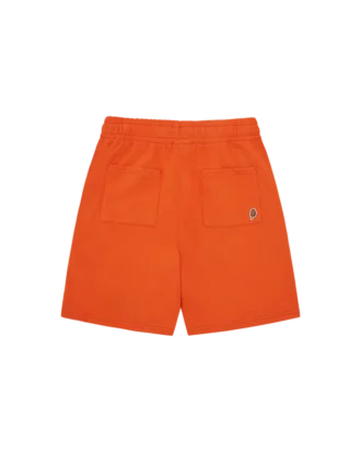 Collegiate puppy shorts