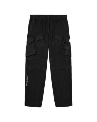Flagship-stargate cargo pants
