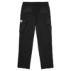 Flagship-stargate cargo pants