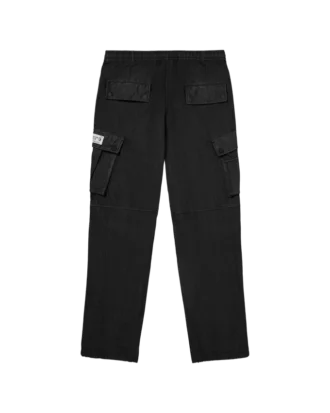 Flagship-stargate cargo pants