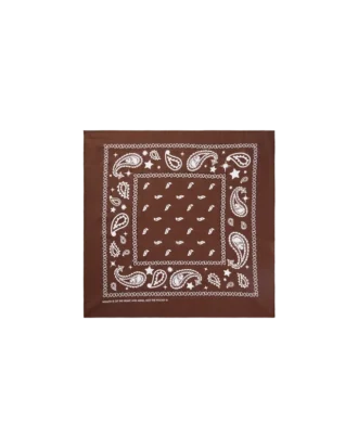 Flying b paisley bandana
