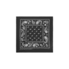 Flying b paisley bandana