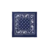 Flying b paisley bandana