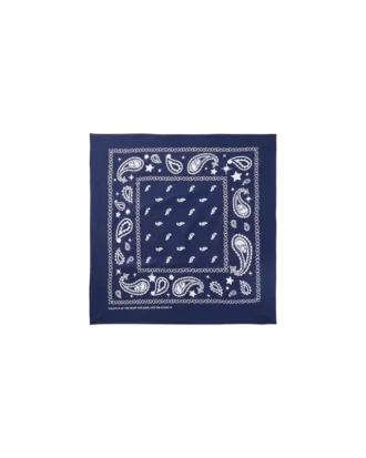 Flying b paisley bandana