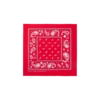 Flying b paisley bandana