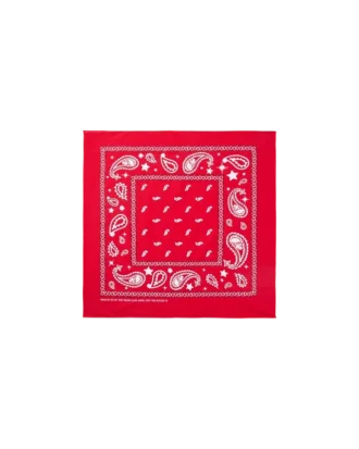 Flying b paisley bandana