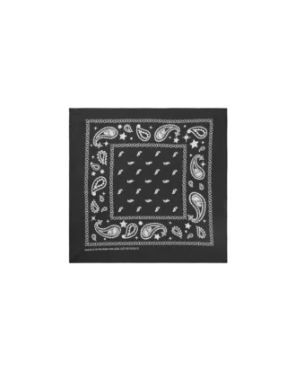 Flying b paisley bandana