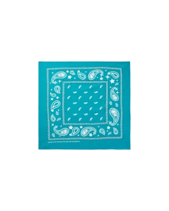 Flying b paisley bandana