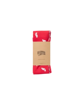 Flying b paisley bandana