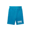 Kids straight font shorts