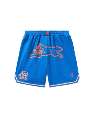 Team ic running dog basketball shorts