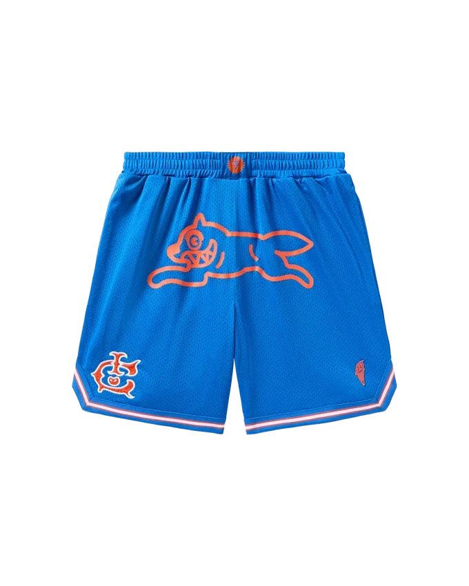Team ic running dog basketball shorts Team ic running dog basketball shorts