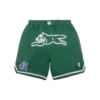 Team ic running dog basketball shorts Team ic running dog basketball shorts