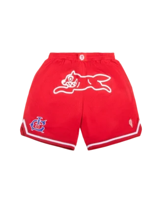Team ic running dog basketball shorts