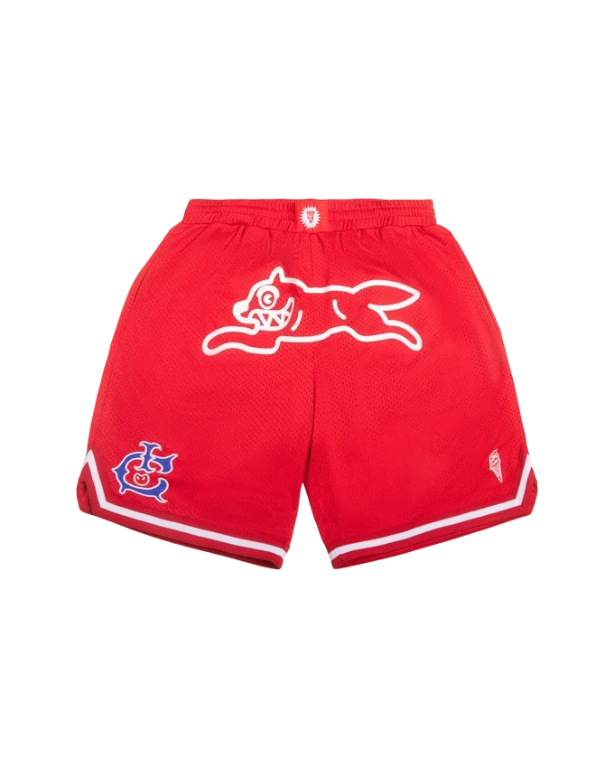 Team ic running dog basketball shorts Team ic running dog basketball shorts