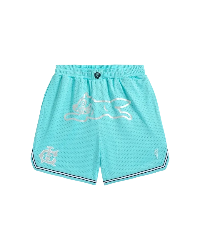 Team ic running dog basketball shorts Team ic running dog basketball shorts
