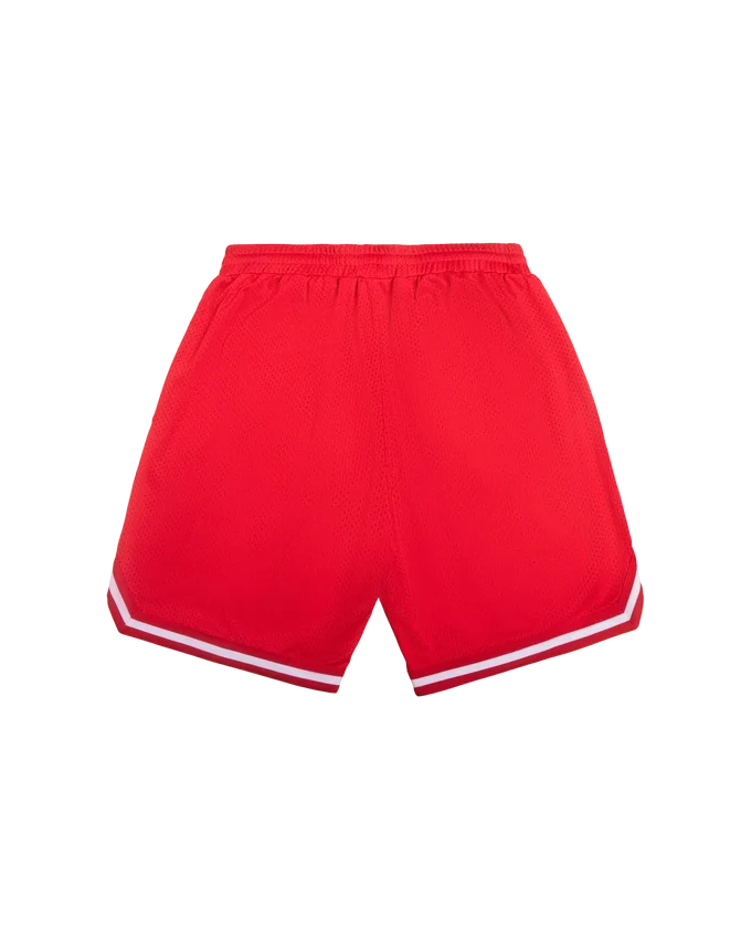 Team ic running dog basketball shorts Team ic running dog basketball shorts