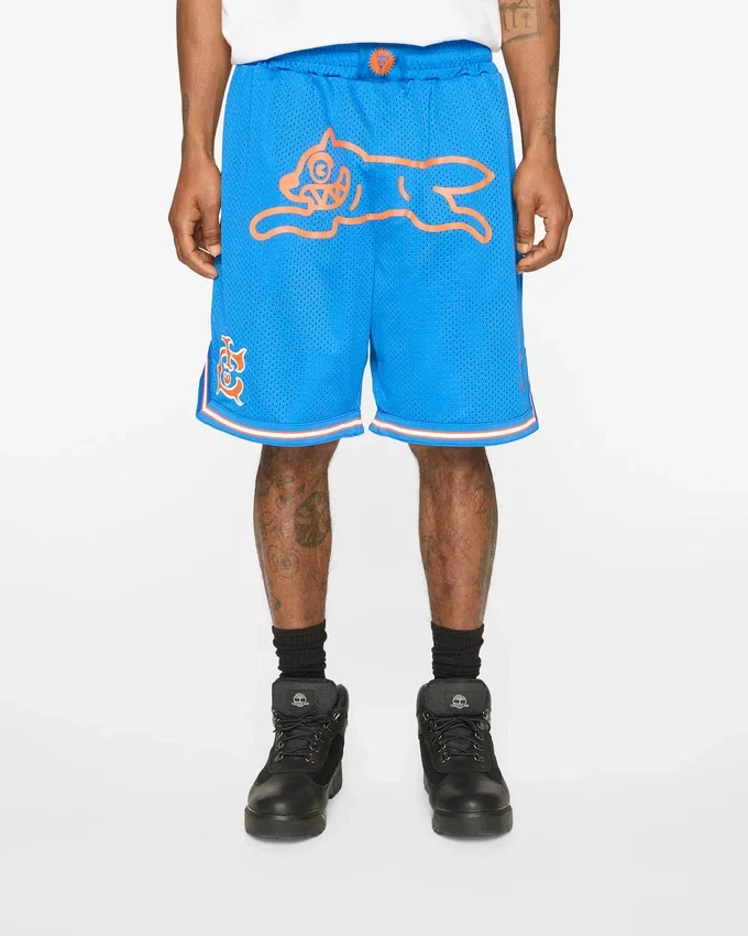 Team ic running dog basketball shorts Team ic running dog basketball shorts