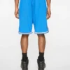 Team ic running dog basketball shorts Team ic running dog basketball shorts