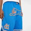 Team ic running dog basketball shorts Team ic running dog basketball shorts