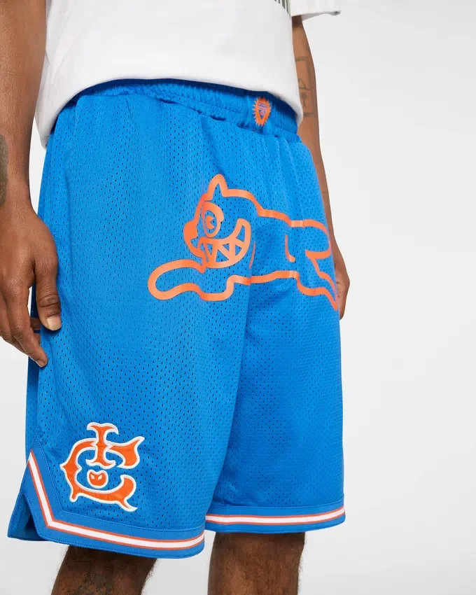 Team ic running dog basketball shorts Team ic running dog basketball shorts